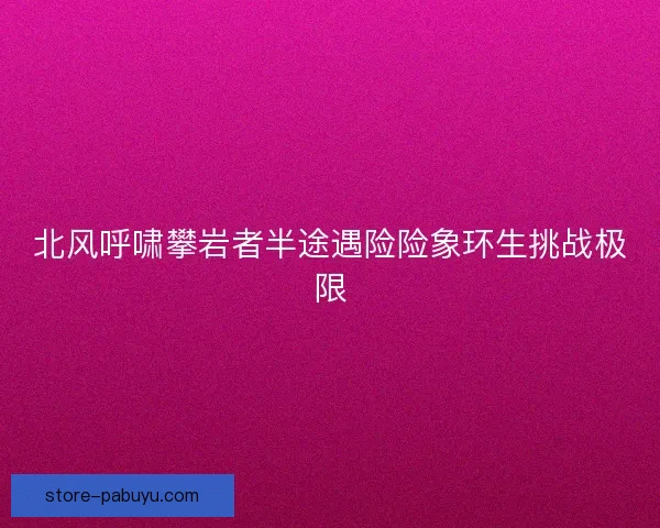 北风呼啸攀岩者半途遇险险象环生挑战极限